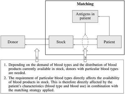 A Conceptual Framework for Optimizing Blood Matching Strategies: Balancing Patient Complications Against Total Costs Incurred